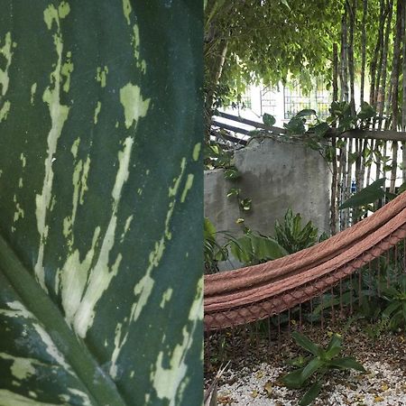 Wabi Sabi Garden Guesthouse By Amara Concepts. Tulum Kültér fotó