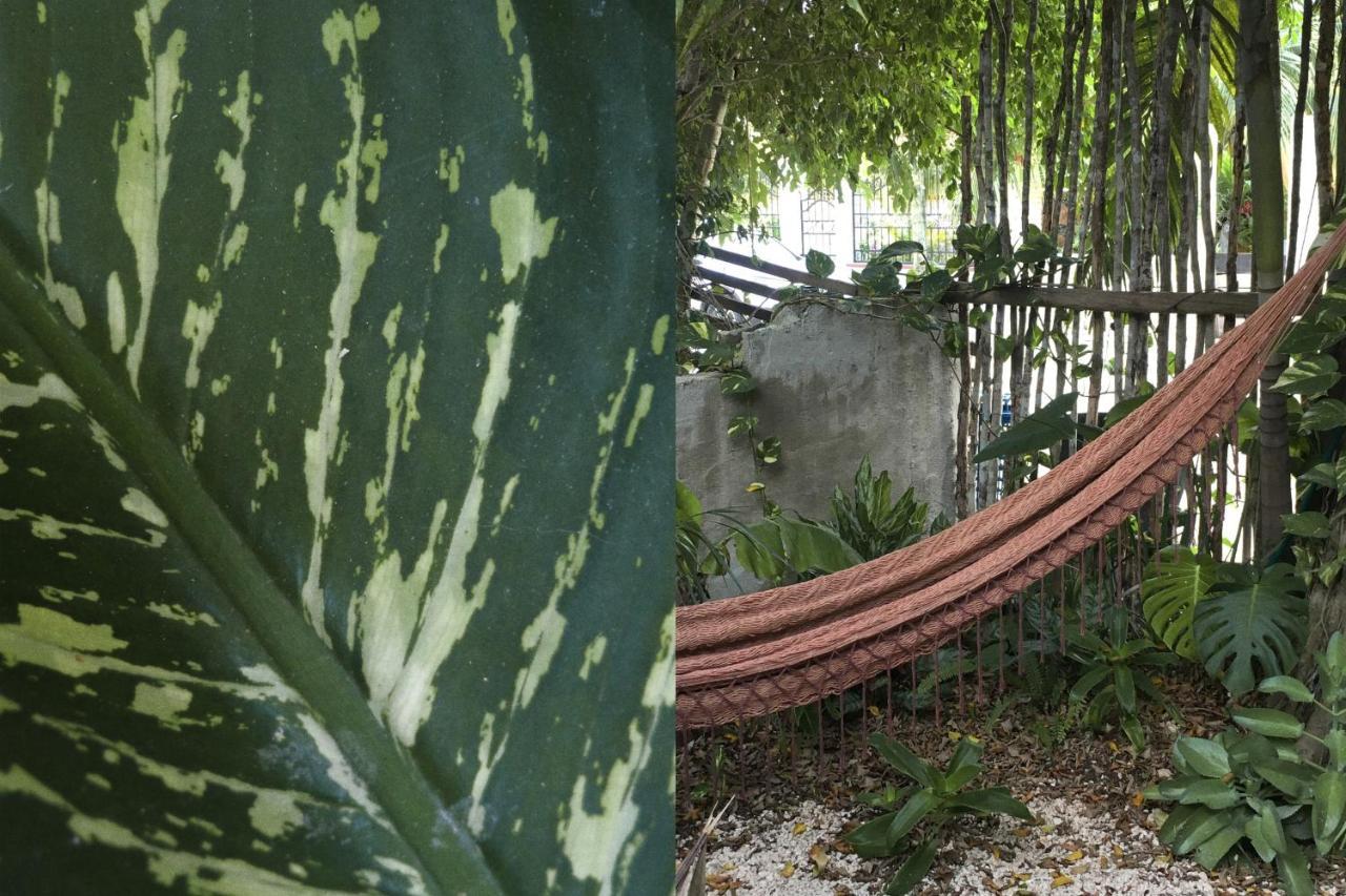 Wabi Sabi Garden Guesthouse By Amara Concepts. Tulum Kültér fotó