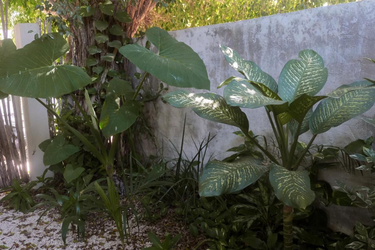 Wabi Sabi Garden Guesthouse By Amara Concepts. Tulum Kültér fotó